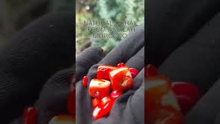 #corail #coralisland #coral #redcoral #gemstone #natural #jewelry #jewellery #morocco