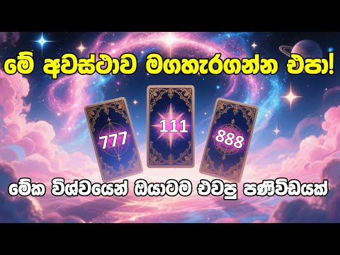 මේ අවස්ථාව මගහැරගන්න එපා! විශ්වයෙන් ඔයාට එවපු පණිවිඩය බලන්න#angelnumbers #lawofattraction #astrology