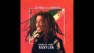 iNi Kamoze - Hardware