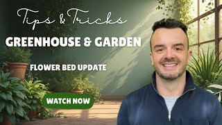 A little flower bed update 
