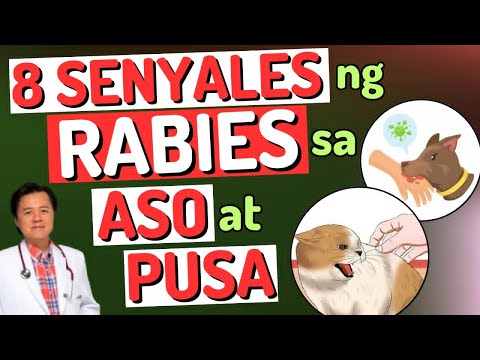 8 Senyales ng Rabies sa Aso at Pusa. - By Doc Willie Ong (Internist and Cardiologist)