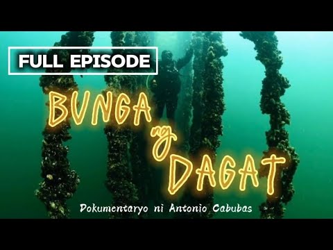 Bunga ng Dagat | Dokumentaryo ni Antonio Cabubas