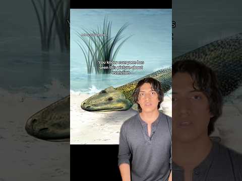 #prehistoric #animals #nature #evolution #fish