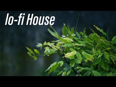 [lofi-house] cosmowave - i'm lost (alt.) | Free Copyright Music