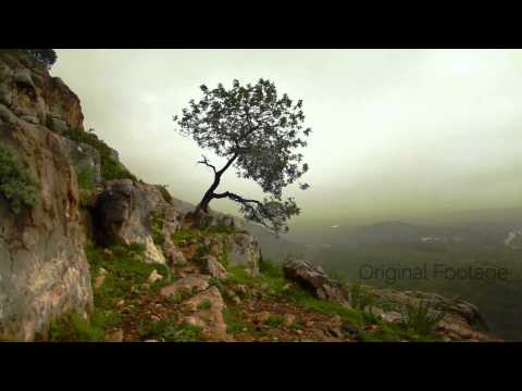 Rainy Mountain Composite