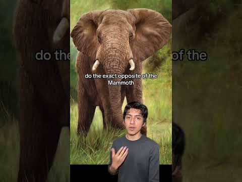 Mammoth vs Elephant #prehistoric #animals #mammoth #elephant