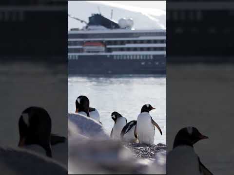 WORLD NATURE CONSERVATION DAY | Mystic Cruises