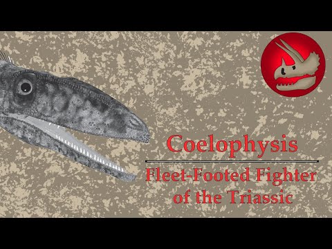 Coelophysis | The Fleet-Footed Fighter of the Triassic