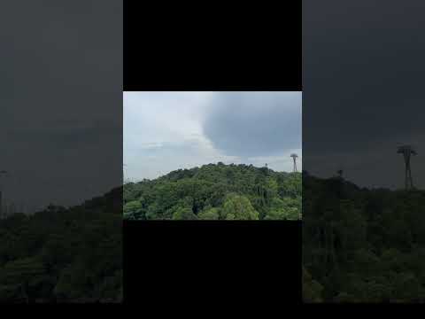 Singapore | Fort Siloso Skywalk Singapore | सिंगापुर |#youtubeshorts |#shorts