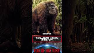 This huge ape lived 100,000 years ago. Gigantopithecus  | FOG OF HISTORY