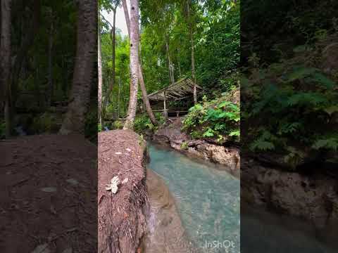 Unbelievably Clear Water Stream in the Jungle 🌿💧✨ #nature #clearwater #relaxing #beautifulplaces
