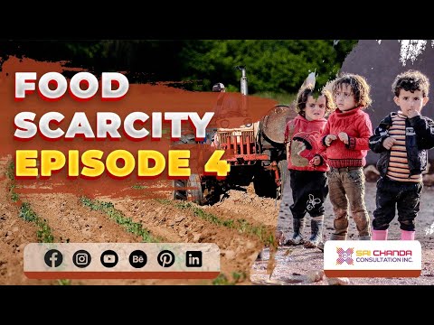 How Do We Find World Hunger Solution By 2030 ? The Solutions Everyone Needs To Know. | SCCI