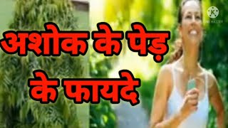अशोक के पेड़ के फायदे/महिलाओं के लिए वरदान है अशोक का पेड़/ Benefits of Ashok tree..