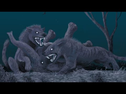The Insane Evolution of Hyaenodonts
