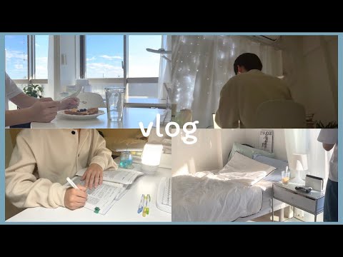 STUDY VLOG // *How to spend the day being more productive !