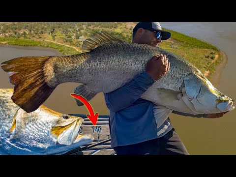 Is this the worlds BIGGEST Barramundi Caught on Film!?!