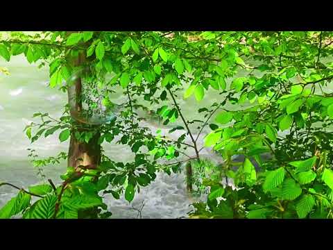 meditation for sleep and reset
