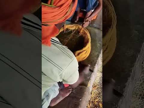 🫠Trying to Village 🤤Soan Papdi at home #shorts #khaokhilao #paraprincevlogs  #ashortaday #minivlogs