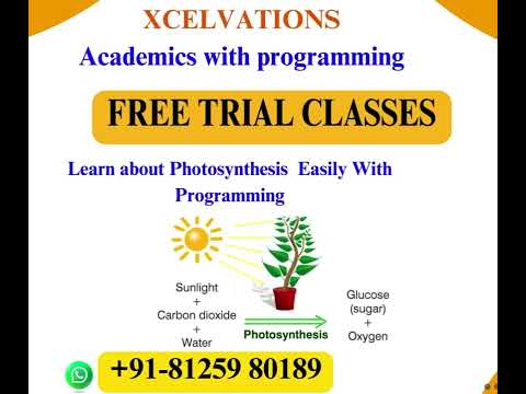 Easy Biology: Photosynthesis, Food Chain, and Cell Structure Explained with Programming