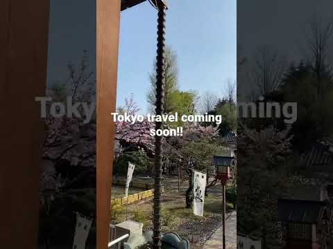 New Series On Channel; Stay Tuned For Tokyo Diaries