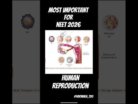 Human Reproduction most important diagram for neet 2026 #biology #ncert#neet #shorts #trending#aiims