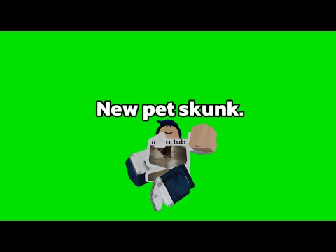 New pet skunk. @frosted_derp