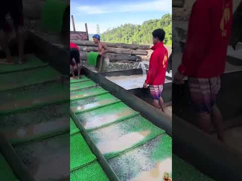 Mining Gold, Wait End🪙😮  #golddiscovery #treasure#goldhunting #gold #goldrush #goldmining