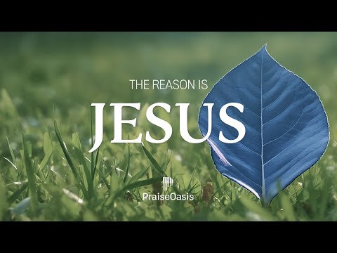 ✨ Jesus Is the Reason |  Peaceful Soaking Worship to Feel His Presence ✨ | Prayer & Devotional