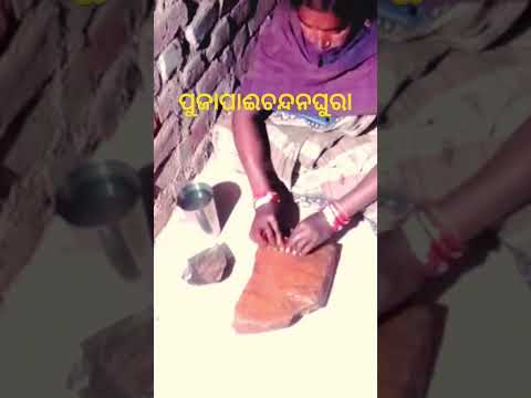 ପୂଜାପାଈଚନ୍ଦନଘୁରା#savrakvdo #duet #automo#shorts #farming #vlogger#short#shorts#ytshorts#viralshort
