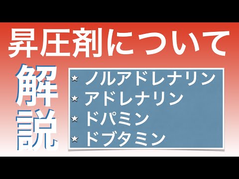昇圧剤(循環作動薬)について解説🧨