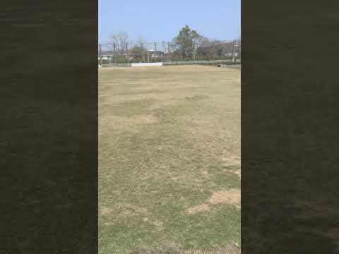5月4日はみどりの日って言うんだぜ #park #公園散歩  #ぼっち散歩