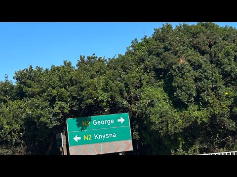 Road trip to George and Wilderness | staying at The Wilderness Hotel.