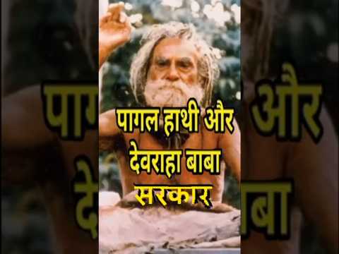 देवरहा बाबा सरकार ने 1962 हरिद्वार कुंभ में पागल हाथी को कैसे काबू में करवाया | #devrahababa #shorts