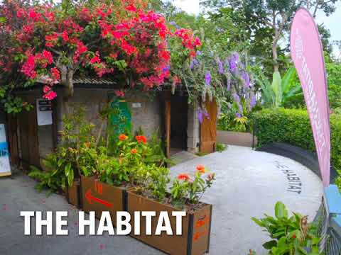 The Habitat - Penang Hill
