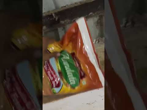 Rice Packaging machine by MINTECH ROBOTICS