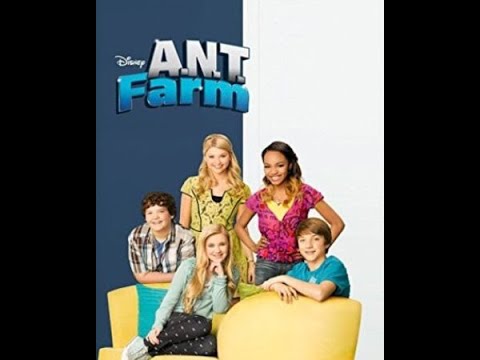A n t   F  a  r  m