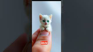 🐾 Cutest Tiny Kitten in the World 😻✨ | Finger-Sized Cat || short video viral || cutest cat #