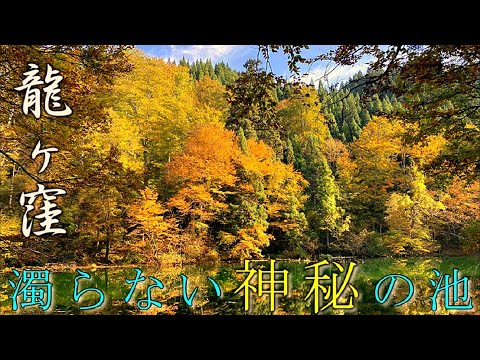 【龍ヶ窪】紅葉　決して濁らない神秘の池