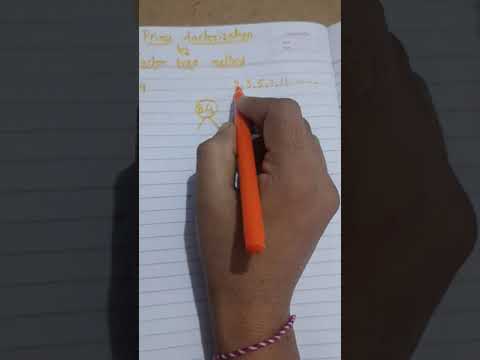 prime factorization by factor tree method