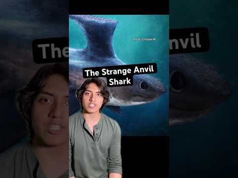 #prehistoric #nature #animals #horror #sharks