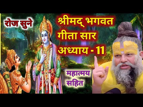 श्रीमद् भागवत गीता अध्याय -11🪔Shrimad Bhagwat Geeta Saar In Hindi | Bhagavad Gita