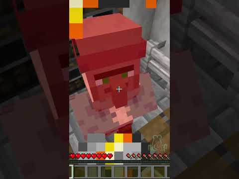 Don't hit the villager