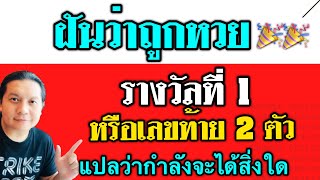 ฝันว่าถูกหวยรางวัลที่ 1 | หรือถูกหวยเลขท้าย 2 ตัว | แปลว่ากำลังจะได้สิ่งใดมา?