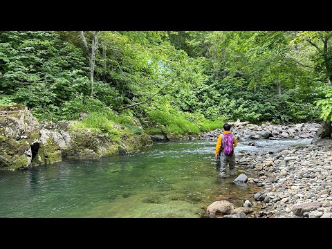 2024.6.26  久々の札幌近郊の渓流〜岩魚川
