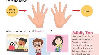 "Our Senses - Science 1 | Chapter 2 | Interactive Learning for Students"