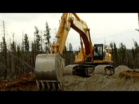 Excavadora - Video Musical para Niños