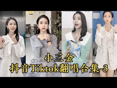 《小三金》抖音翻唱合集-3  网络最火的歌曲