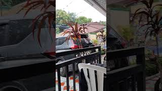 SPPC FAMILY GRAND REUNION 12/20-21/2025