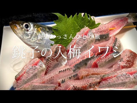 【千葉 銚子】銚子の入梅イワシ｜哀愁おっさんひとり旅 Vol.83