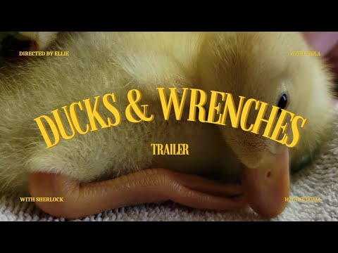 Ducks & Wrenches Trailer